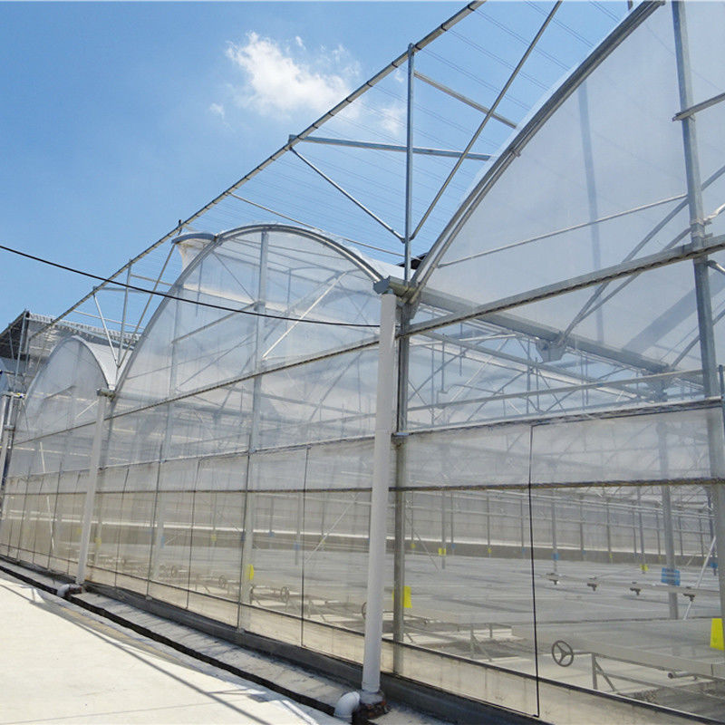 Duurzaam op maat gemaakt poly-tunnel multi-span film landbouwkas voor bloemen