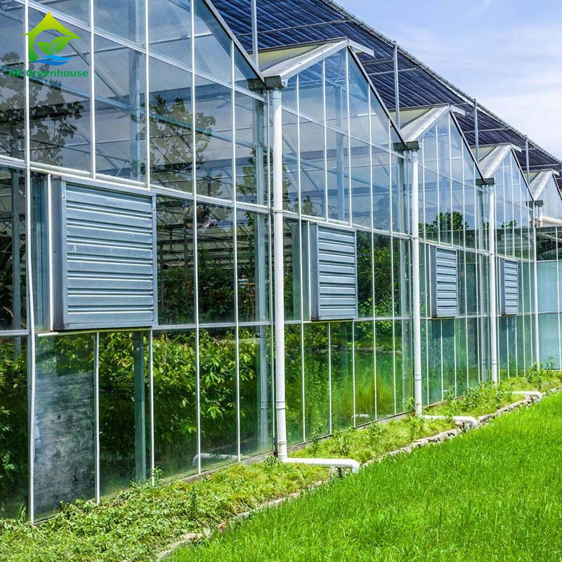 Landbouw Venlo Type Glazen Kas Nederlandse Techniek Gegalvaniseerd Frame voor Hydrocultuur