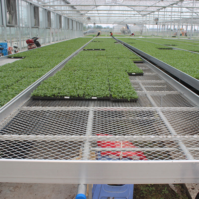 Aangepaste Roltafel voor Kassen met Eenvoudige Constructievoordelen en een Thermisch Verzinkt Stalen Frame