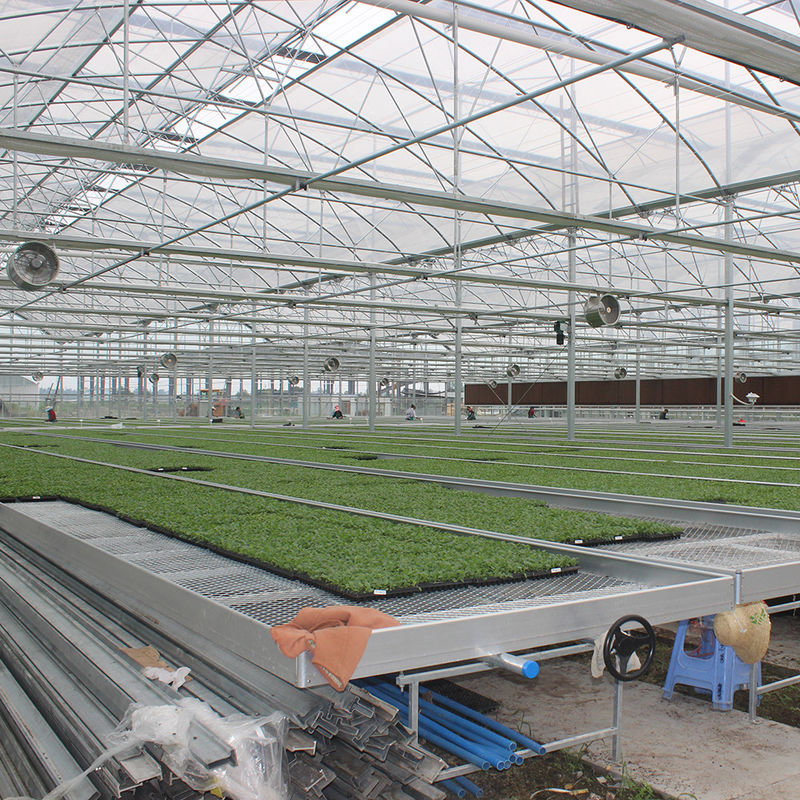 Lichtgewicht veelzijdige kasplantentafels, uitbreidbaar voor het kweken van diverse plantensoorten, roestbestendig