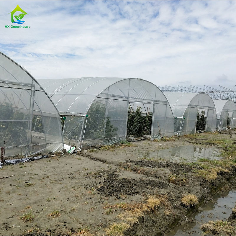 Goedkope plastic PE-film UV-bestendige enkelvoudige groente-fruitkast kastent