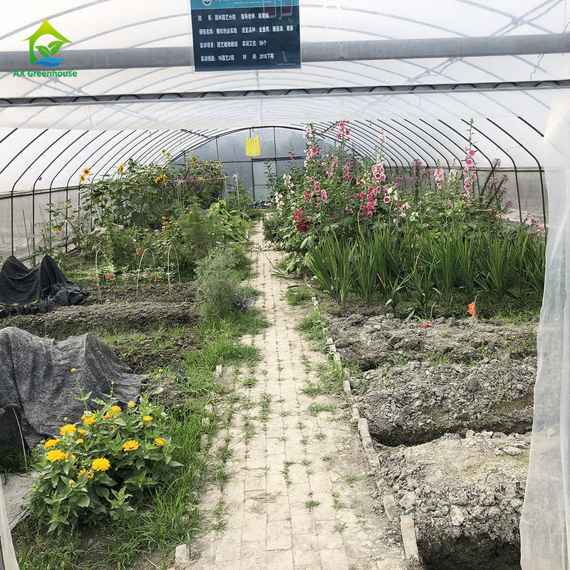 Fabrieksprijs Op Maat Gemaakte Plastic Folie Tunnel Tomaten Kweekkas Kas voor Landbouw