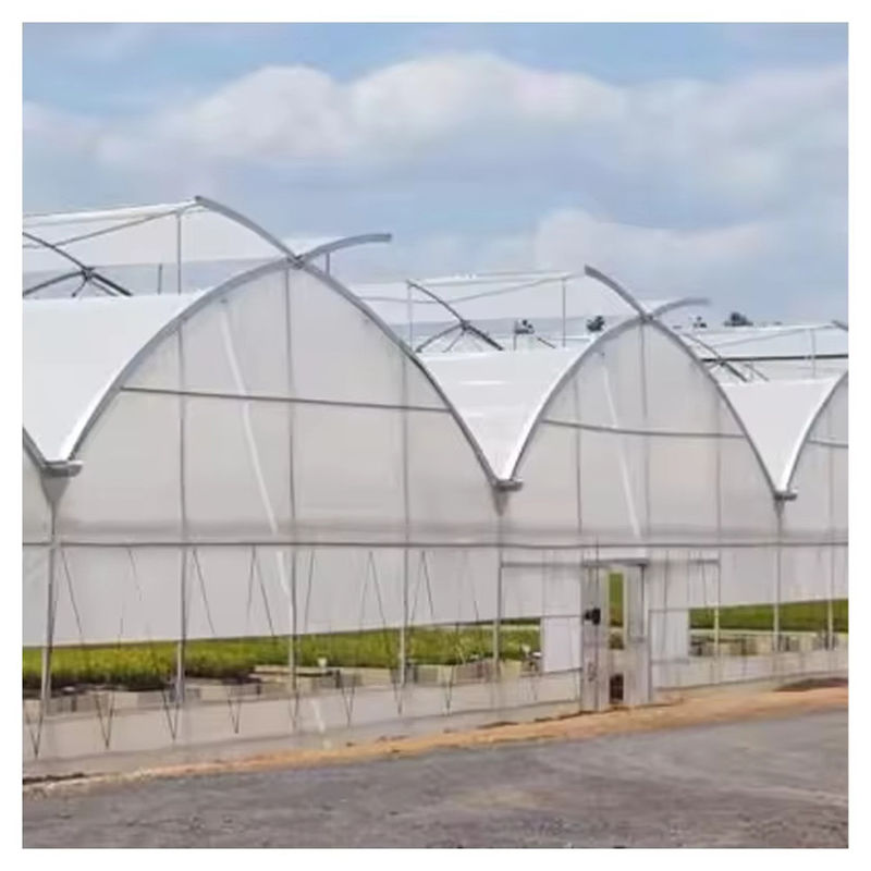 Duurzaam op maat gemaakt poly-tunnel multi-span film landbouwkas voor bloemen