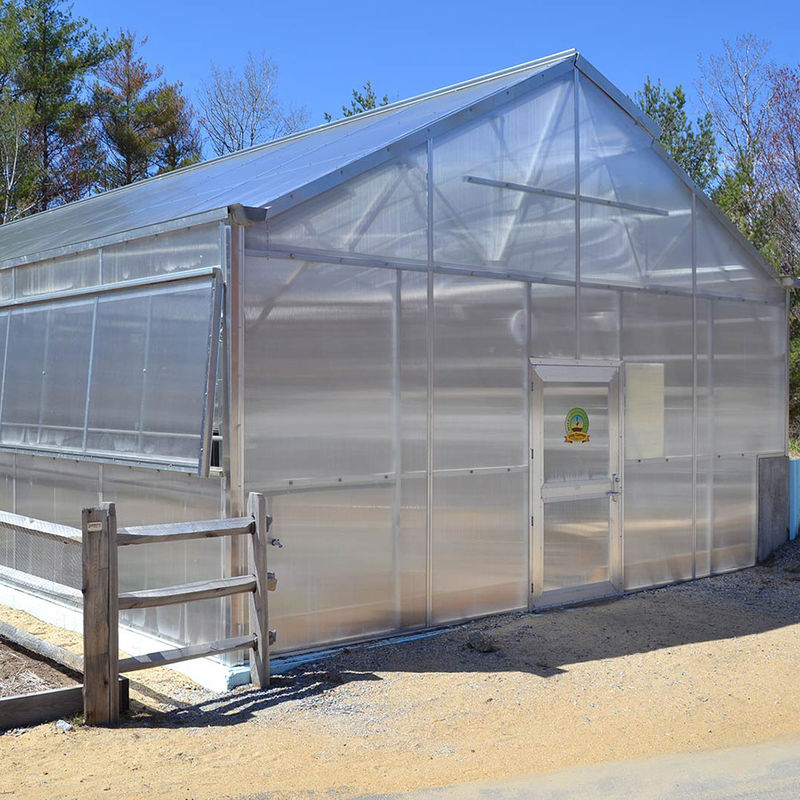 Veelzijdige Enkele Spant Multiwall Polycarbonaat Kas Ideaal voor Groenten Zaailingen Bloemen Achtertuin Landbouw