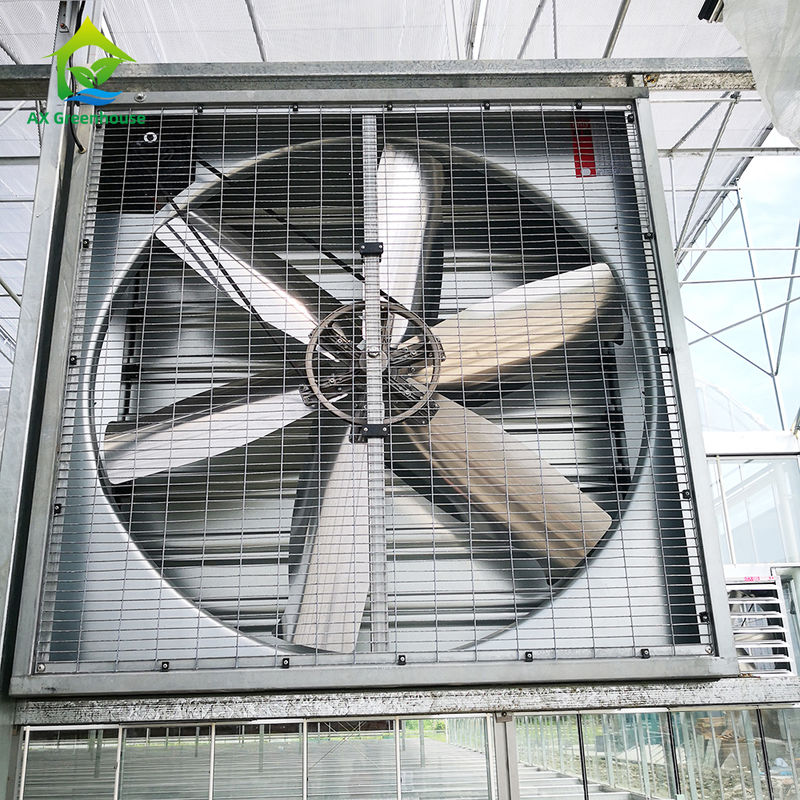 Industrieel aluminium uitlaatventilatoren voor broeikasgassen Corrosiebestendig voor vochtige verdampingskouding