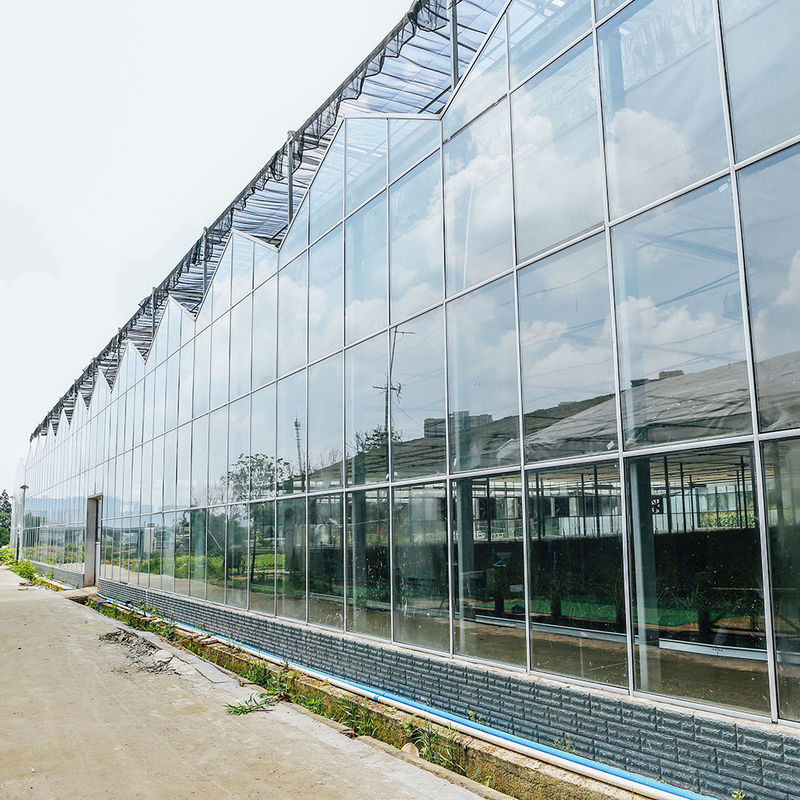 Tuinbouw Multi-span Landbouw Bloemkwekerij Venlo-type Zadenglaskas