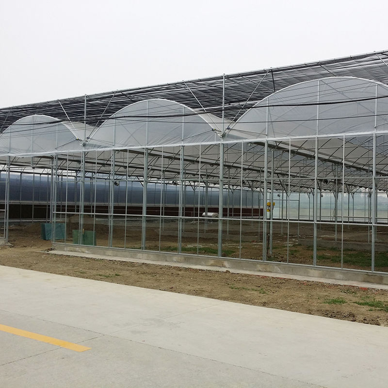 Tuinbouw Plastic Folie UV Bestendig Grote Poly Tunnel Multi-span Kas voor Groenten