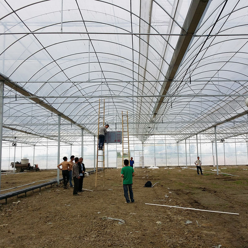 Betrouwbare poly tunnel kas anti roest staal frame Langdurige film voor tomaten