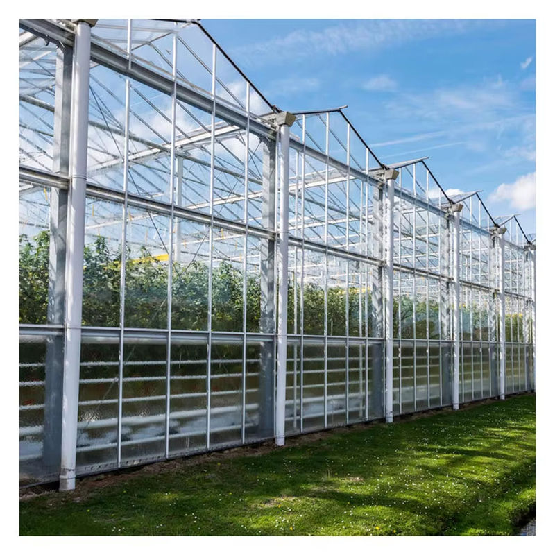 Landbouw Venlo Type Glazen Kas Nederlandse Techniek Gegalvaniseerd Frame voor Hydrocultuur