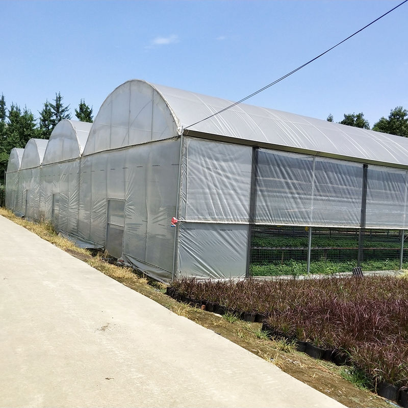 Duurzame Multi-Span Polytunnel Kas Zwaar uitgevoerde Stalen Wind- en Sneeuwbestendigheid Commerciële Boerderijen Kwekerijen