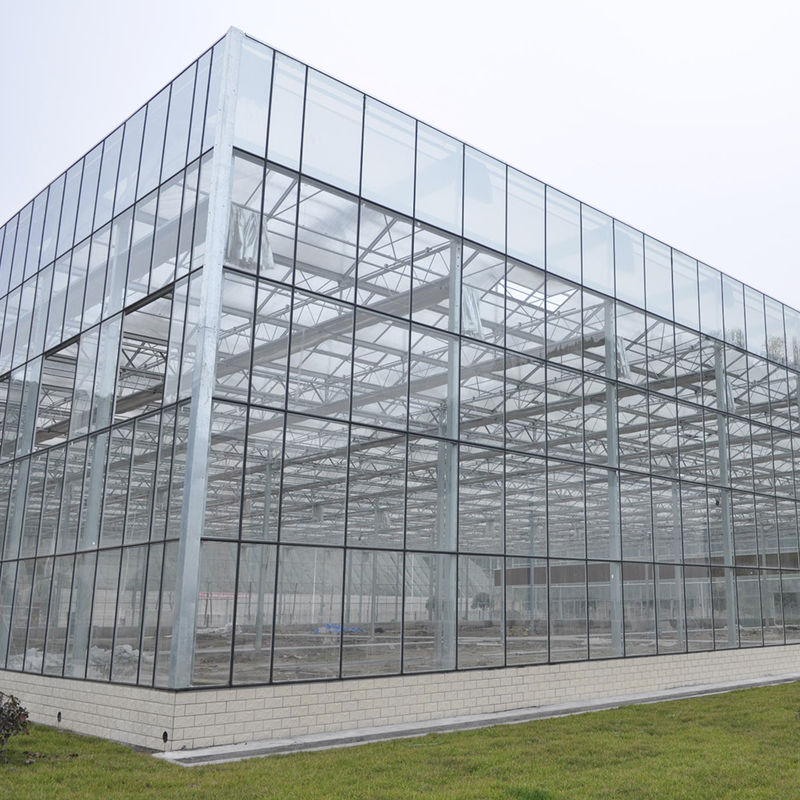 Venlo Type Landbouwglazen Kas Geharde Panelen Gegalvaniseerd Stalen Frame voor Komkommerteelt