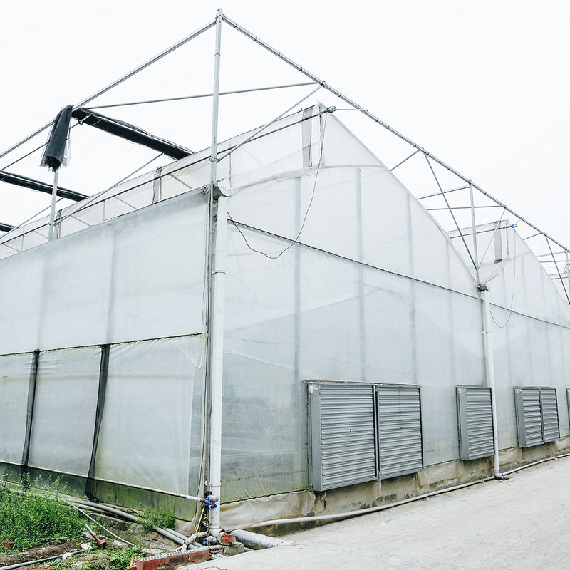 Multi-span poly-tunnel kas met zaagtanddak voor natuurlijke ventilatie en lichtdiffusie