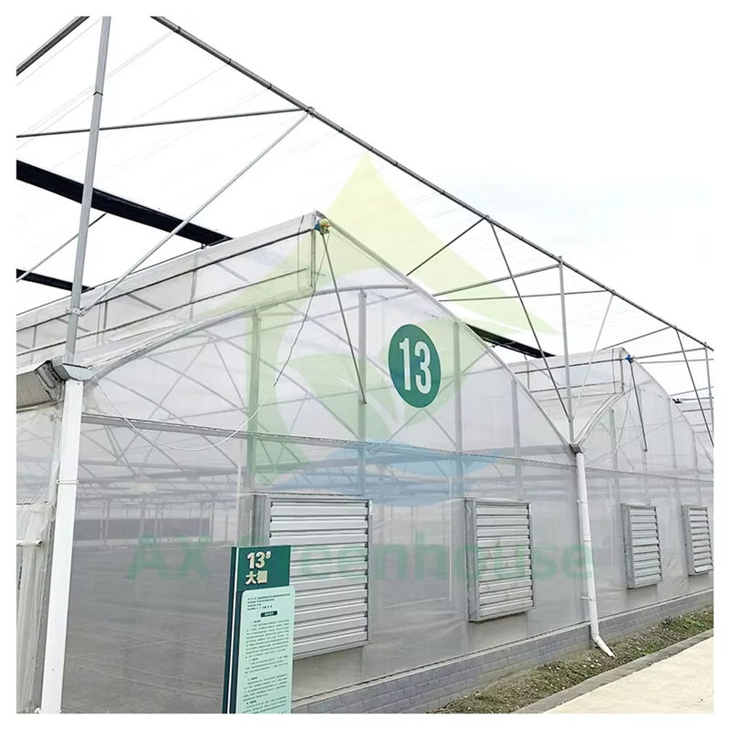 Multi-span poly-tunnel kas met zaagtanddak voor natuurlijke ventilatie en lichtdiffusie