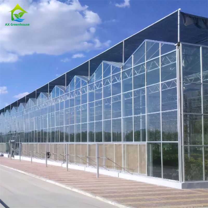 Apparatuur voor het kweken van groente-aardbeien in een duurzame glazen polycarbonaatkas - Alles-in-één kas-kit