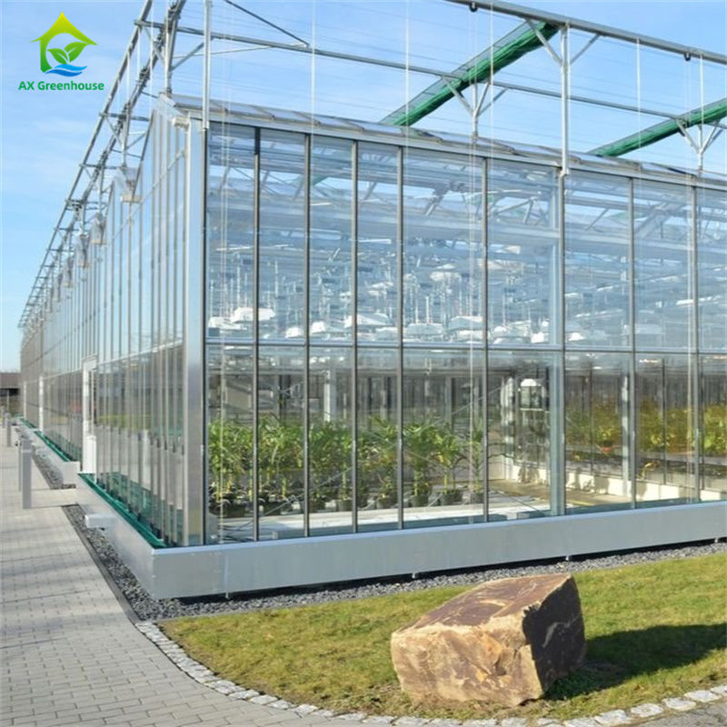 Apparatuur voor het kweken van groente-aardbeien in een duurzame glazen polycarbonaatkas - Alles-in-één kas-kit