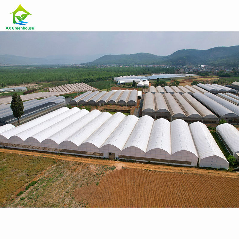 Grootschalige agrarische multi-span kassen. Professionele kassenfabriek voor massaproductie.