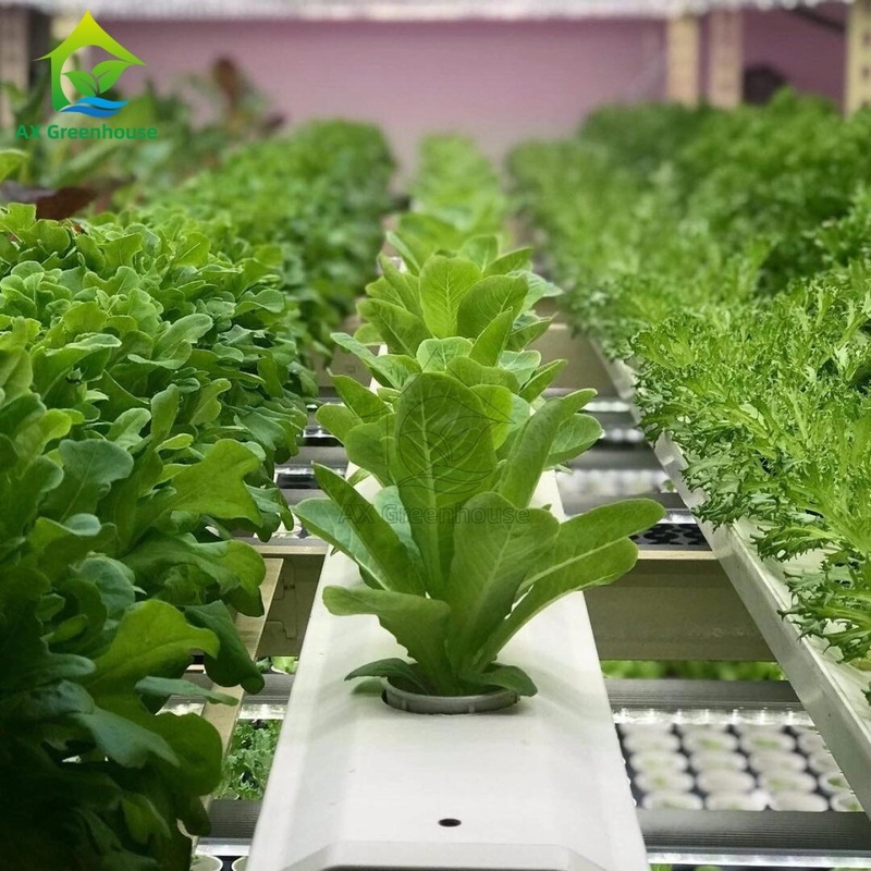 Geautomatiseerd Intelligent Plantingssysteem Container Boerderij Meerdere lagen Verticaal NFT Hydroponisch Grondloos Teelt Systeem
