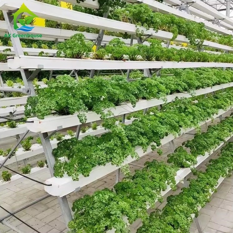 Groenhuis Grondloos Teelt Systeem A-frame Voedingsfilmtekniek NFT-kanaal Efficiënte groenten teelt