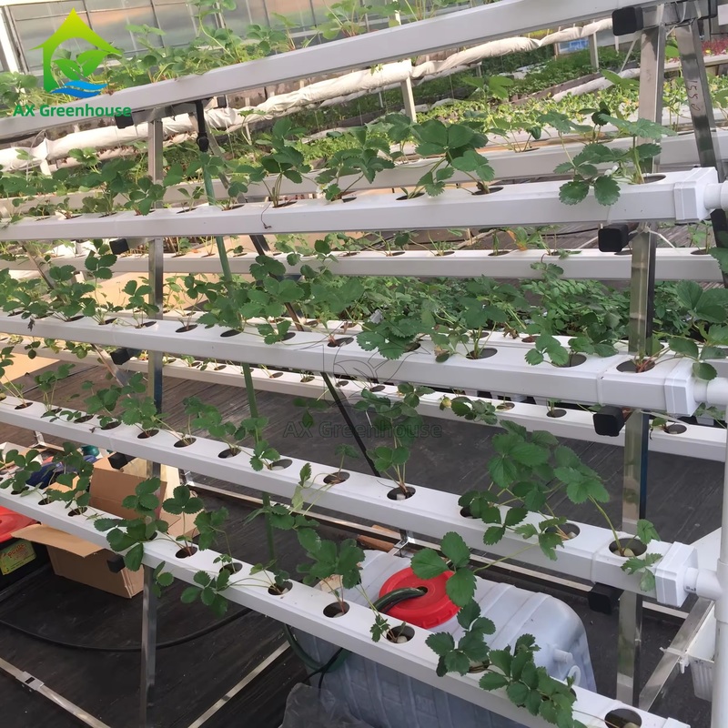 Groenhuis Grondloos Teelt Systeem A-frame Voedingsfilmtekniek NFT-kanaal Efficiënte groenten teelt