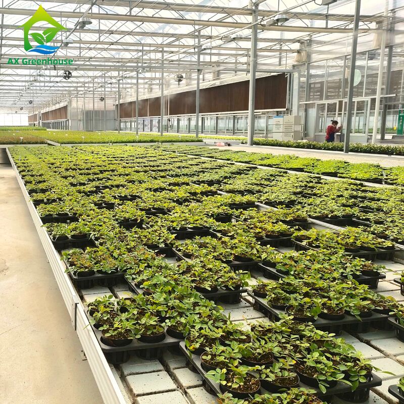 Commerciële aluminium frame eb & flow tafel met verstelbare hoogte en geïntegreerde PP/ABS tray voor kassen