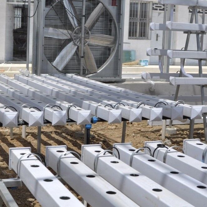Voedingsmiddelen PVC NFT hydroponisch geulen systeem met UV-remmers en aanpasbare afmetingen voor commerciële kassen