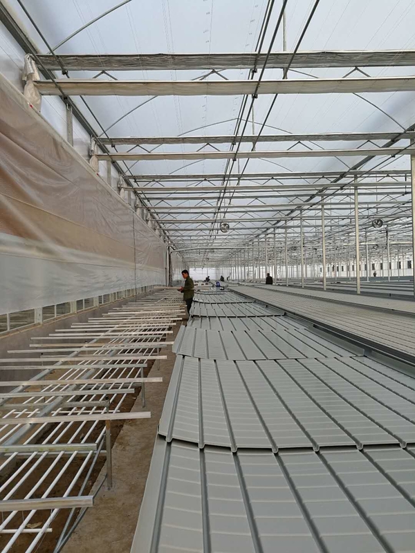 0.711.78m Breedteserre Rolling van de Bankeneb en Stroom Hydroponic Vloedlijst