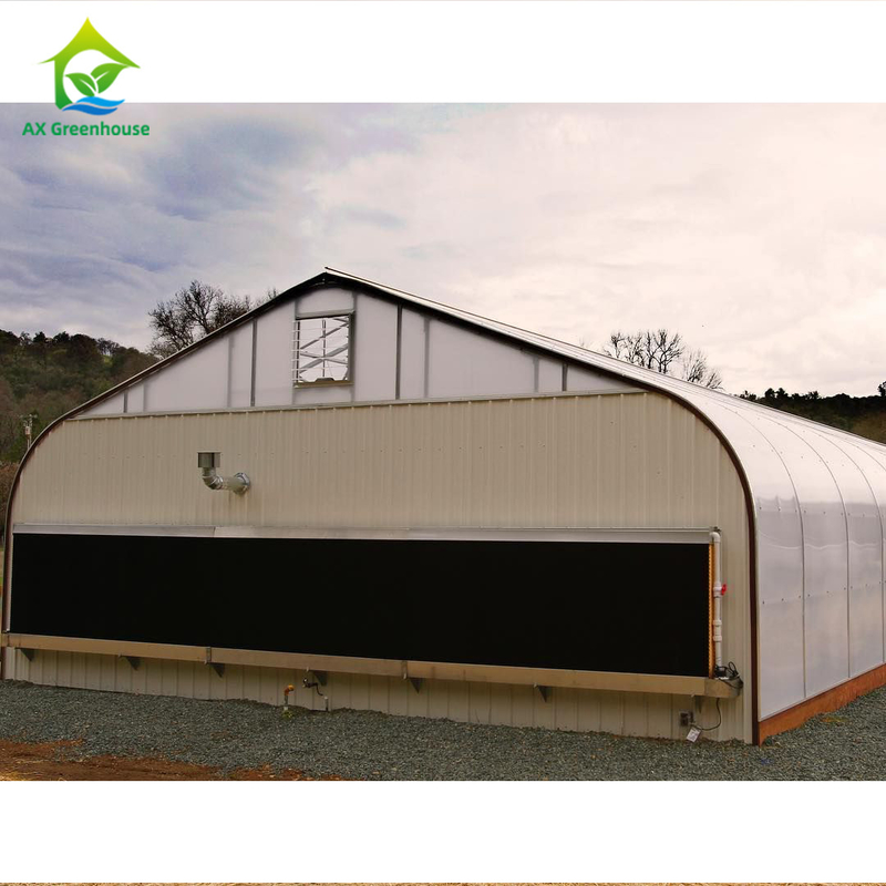 1.83m Systeem van de het Klimaatcontrole van Dep Grow Tunnel Greenhouse With van de Muurhoogte het Lichte
