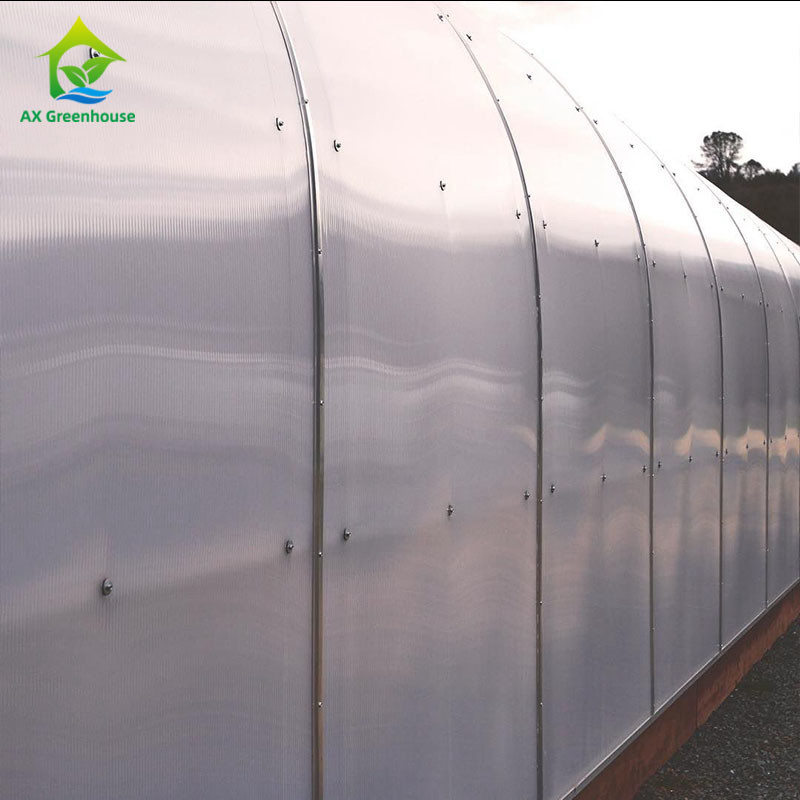 1.83m Systeem van de het Klimaatcontrole van Dep Grow Tunnel Greenhouse With van de Muurhoogte het Lichte