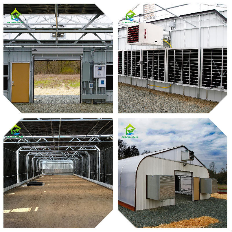 Intelligent broeikasmonitoringssysteem met AC220V-vermogen en CO2-concentratiemeter van 0 tot 50000 ppm voor optimale klimaatcontrole