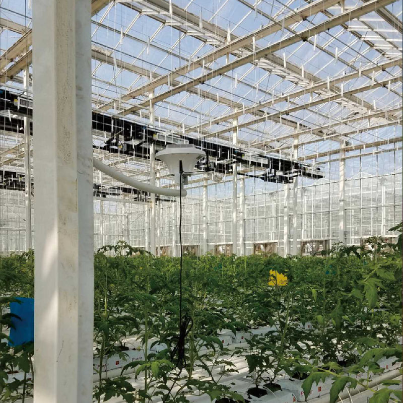 Intelligent broeikasmonitoringssysteem met AC220V-vermogen en CO2-concentratiemeter van 0 tot 50000 ppm voor optimale klimaatcontrole