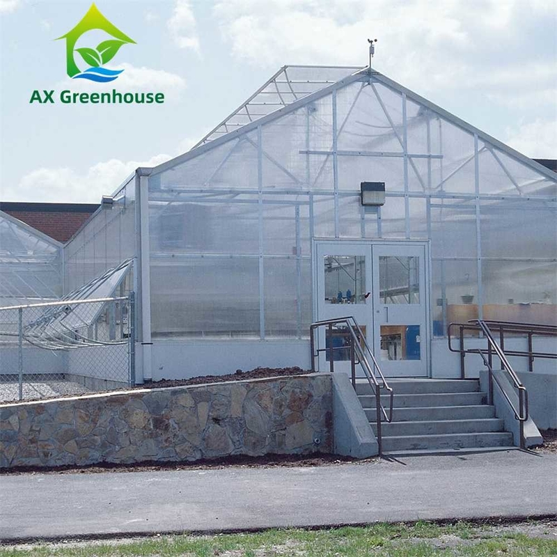 Plantenteelt Groentehuis met een enkele span polycarbonaat PC-plaat met een stabiele structuur en eenvoudige montage
