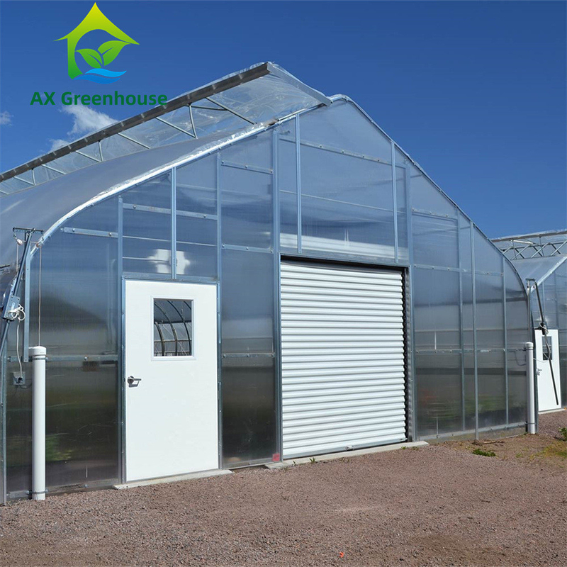 Veelzijdige Enkele Spant Multiwall Polycarbonaat Kas Ideaal voor Groenten Zaailingen Bloemen Achtertuin Landbouw