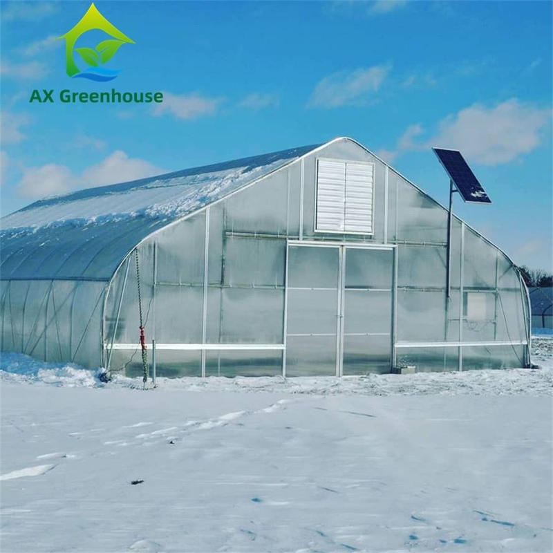Veelzijdige Enkele Spant Multiwall Polycarbonaat Kas Ideaal voor Groenten Zaailingen Bloemen Achtertuin Landbouw