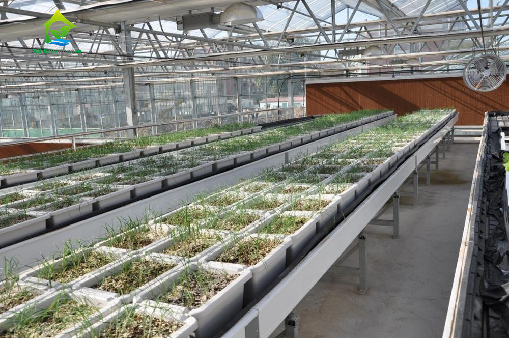 Voedselrang 3.05.0mm de Dikke Hydroponic Goot van pvc NFT voor Aardbeien