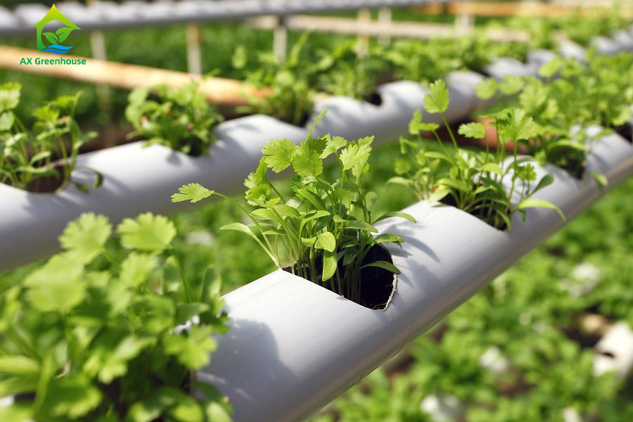 Groundless Indoor Farming Strawberry Growing PVC Tube For Hydroponics NFT Systeem te koop