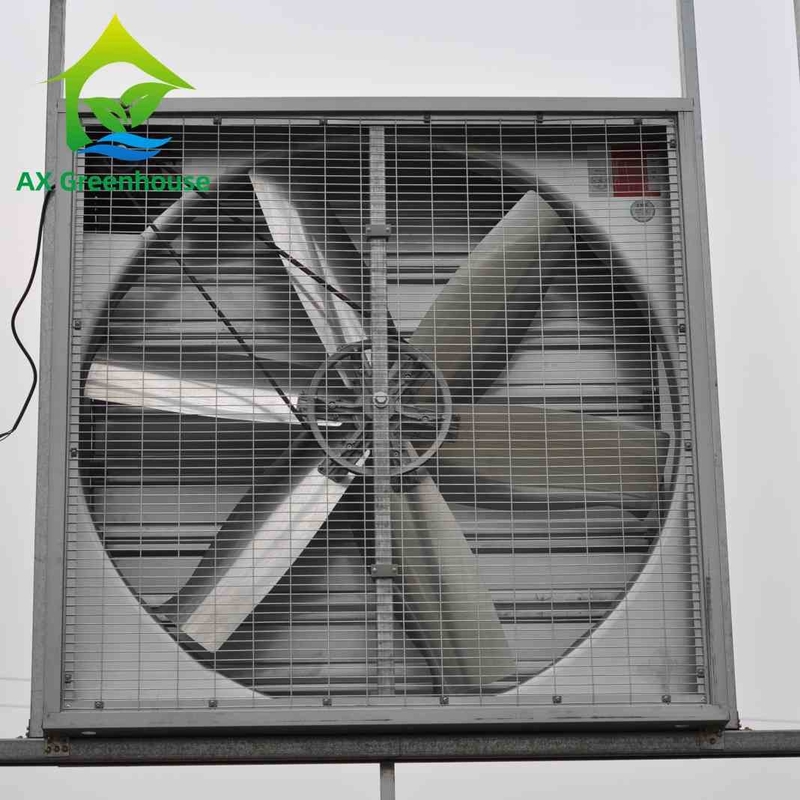 Dia 5001250mm van de Uitlaatventilators van de Blad Natte Muur Industriële Muur Opgezette de Trekkerventilators