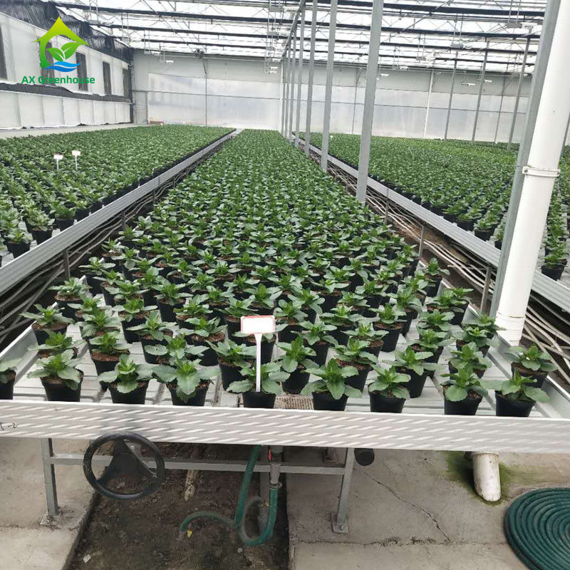 Stabiele, milieuvriendelijke kasroltafels met ABS-kunststof plaat en aluminiumlegering frame in aanpasbare maten