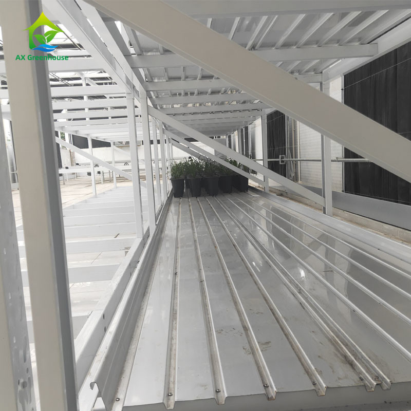 Op maat gemaakte indoor dubbellaag groente-geneesmiddelenkruidgroei-rack voor verticale landbouw