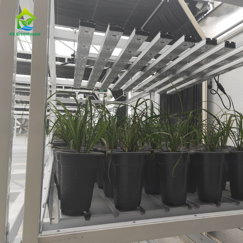 Op maat gemaakte indoor dubbellaag groente-geneesmiddelenkruidgroei-rack voor verticale landbouw