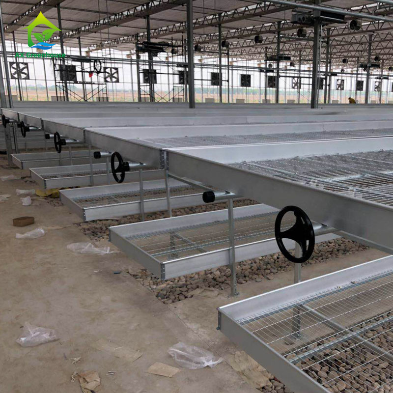 Landbouw Commerciële Indoor Mesh Draad Kas Groei Tafel Rollende Bank Voor Zaden