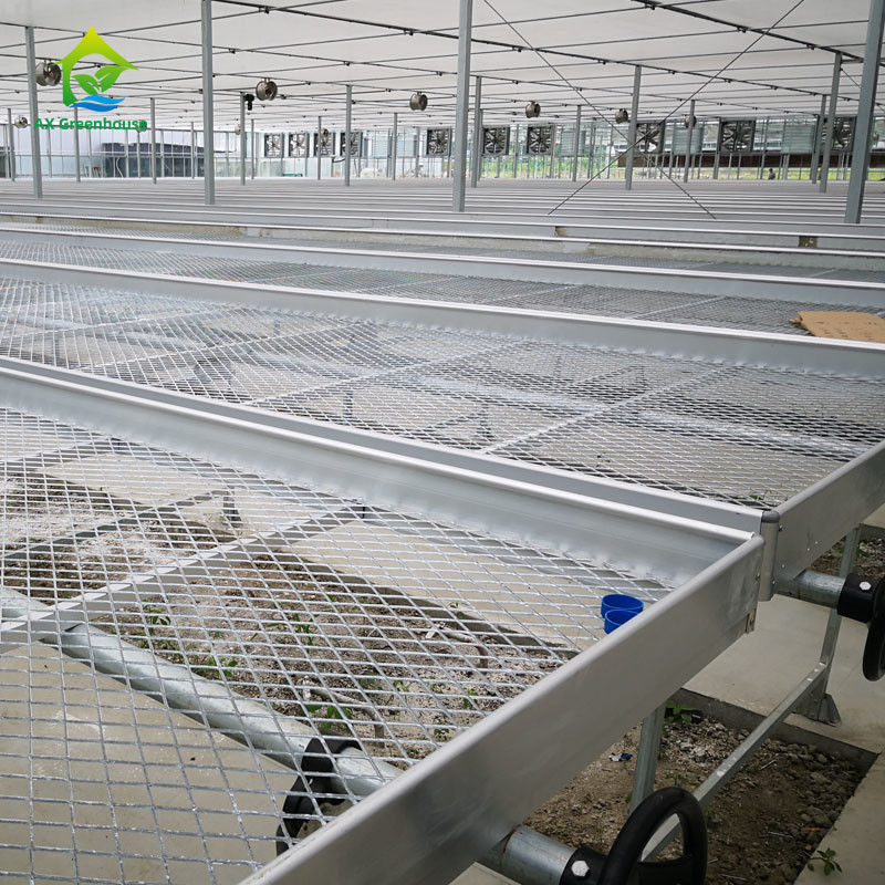 Landbouw Commerciële Indoor Mesh Draad Kas Groei Tafel Rollende Bank Voor Zaden