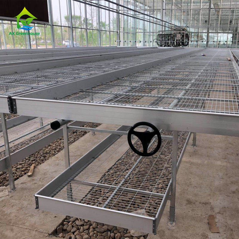Landbouw Commerciële Indoor Mesh Draad Kas Groei Tafel Rollende Bank Voor Zaden